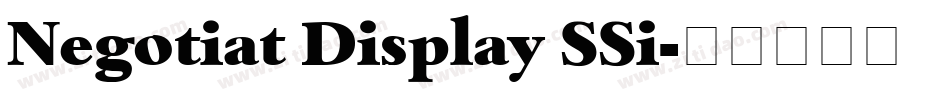Negotiat Display SSi字体转换